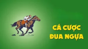 Khám Phá Sức Hút Từ Những Vòng Đua Ngựa Tại 555Win