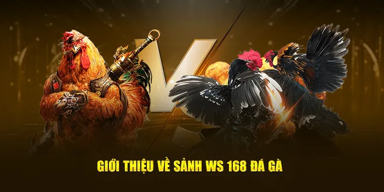 Hướng Dẫn Cách Chơi Đá Gà WS168 Tại 555Win Cho Mọi Kê Thủ