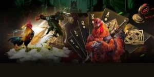 Cách Chơi Đá Gà GA28 Tại 555Win Sảnh Cược Dành Cho Cao Thủ
