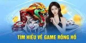 Chinh Phục Trò Chơi Dragon Tiger Tại 555Win Thắng Lớn Dễ Dàng